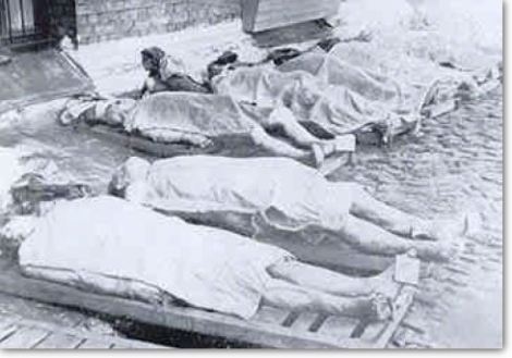 Central Prison Rows of Corpses